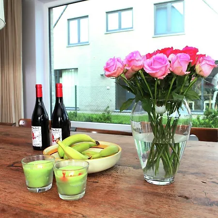 Modern Holiday Home By The Beach In Ostend Ostend